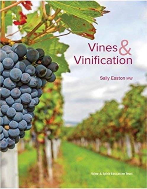 VINES & VINIFICATION 1