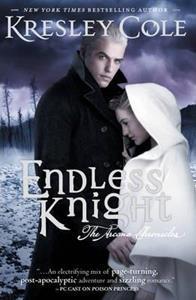ENDLESS KNIGHT : THE ARCANA CHRONICLES BOOK 2