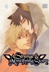 A STRANGE AND MYSTIFYING STORY: VOL 04