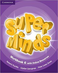 SUPER MINDS 6 WORKBOOK (+ONLINE RESOURCES)