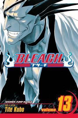 BLEACH: VOL 13