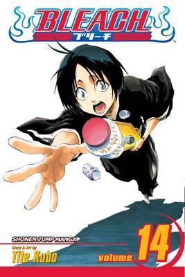 BLEACH: VOL 14