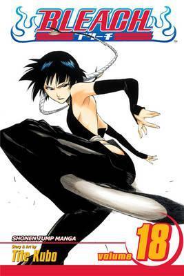 BLEACH: VOL 18