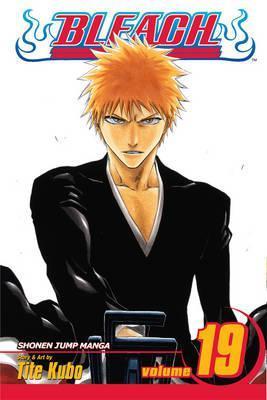 BLEACH: VOL 19