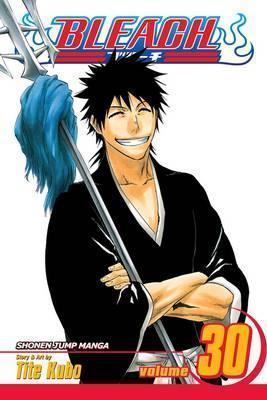 BLEACH: VOL 30