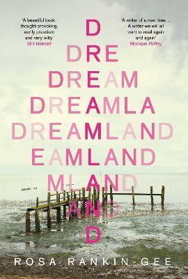 DREAMLAND : AN EVENING STANDARD 'BEST NEW BOOK' OF 2021