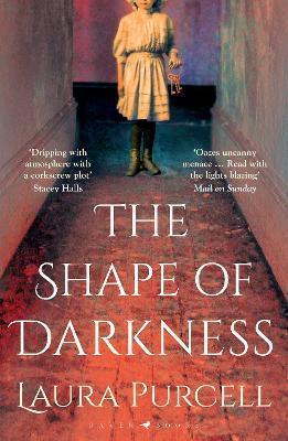 THE SHAPE OF DARKNESS : 'DARKLY ADDICTIVE, UTTERLY COMPELLING' RUTH HOGAN