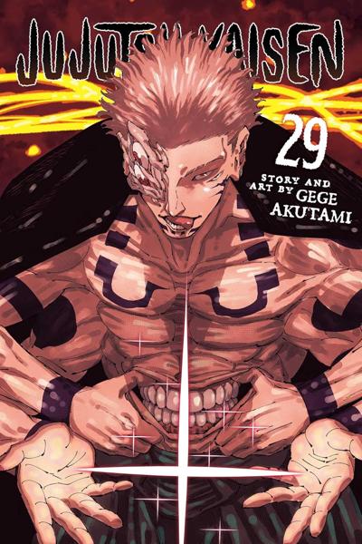 JUJUTSU KAISEN: VOL 29